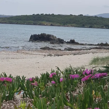 Lejlighed Cocteau House Olbia