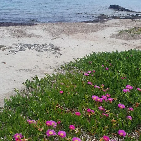 Cocteau House Apartman Olbia